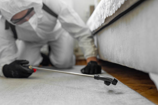 Professional Termite Control technician working in Silver Lake, NJ