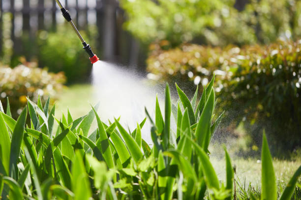 24/7 Emergency Termite Control experts in Silver Lake, NJ