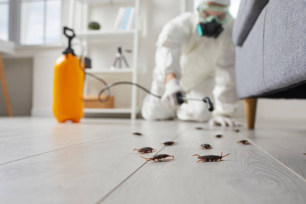 Trusted Fumigation Services service in Silver Lake, NJ - Nex Pest Control