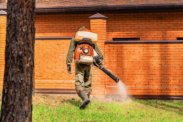 Trusted Mosquito Control service in Silver Lake, NJ - Nex Pest Control